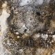 How does mould affect health?
