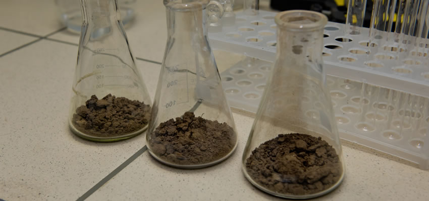 Soil testing of samples in the laboratory