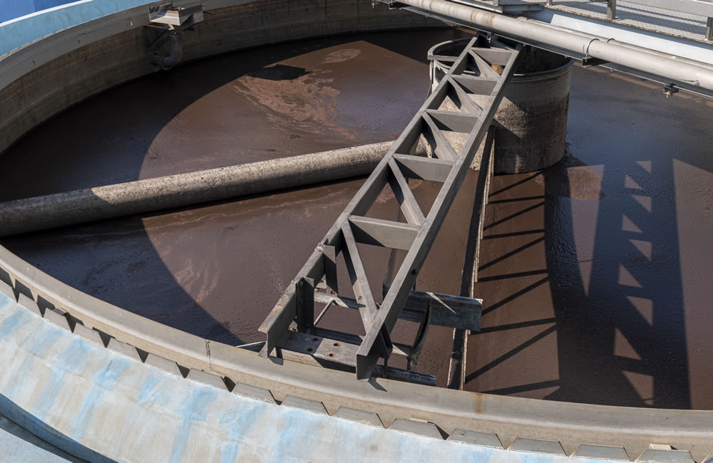 Can sludge dewatering equipment save you money?