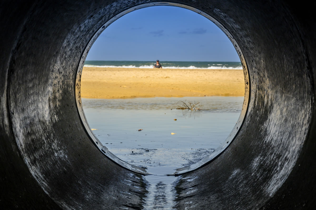 Treating wastewater with microorganisms brings several benefits