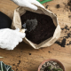 Can you get Legionnaires' disease from potting compost?
