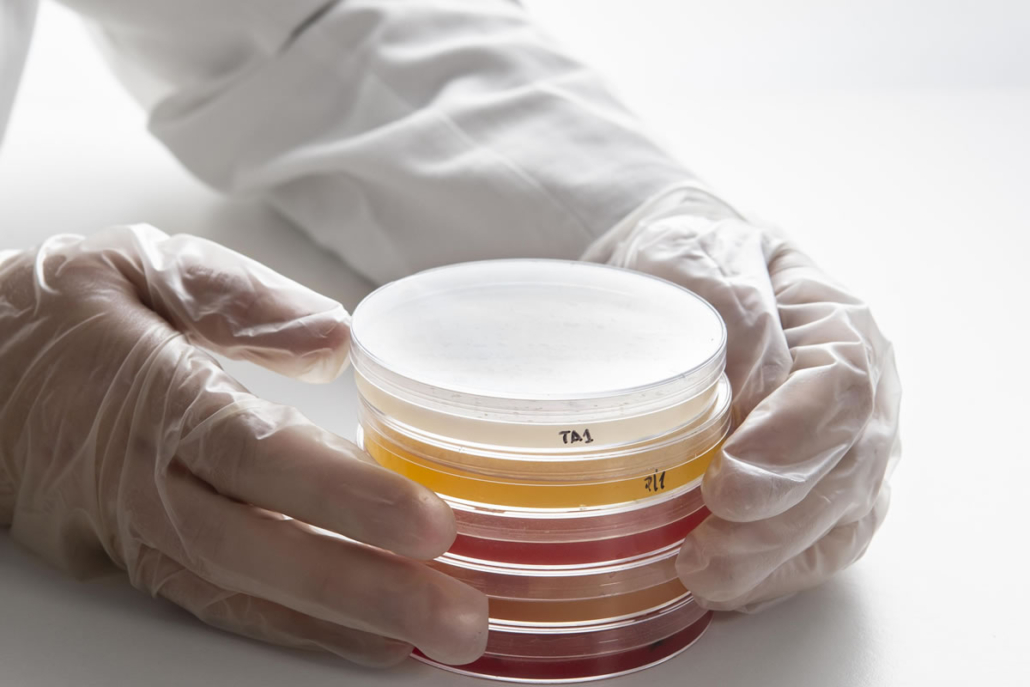 How Important Are Biocides in Water Treatment?