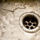 Preventing Pseudomonas in water systems