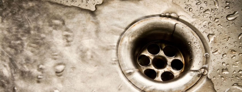 Preventing Pseudomonas in water systems