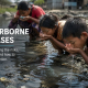 People drinking untreated water from a contaminated surface water source, illustrating the risks of waterborne diseases caused by unsafe drinking water.
